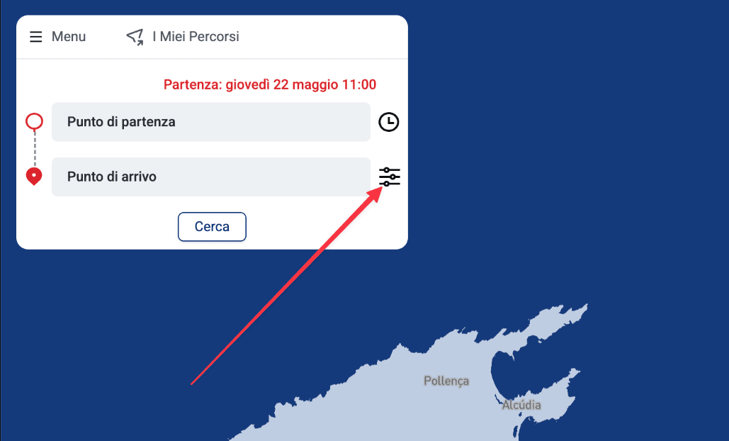 Pagina delle impostazioni di Sailrouting